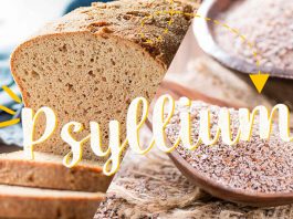 PSYLLIUM- o que é, como usar, pão feito com psyllium