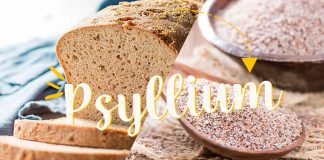 PSYLLIUM- o que é, como usar, pão feito com psyllium