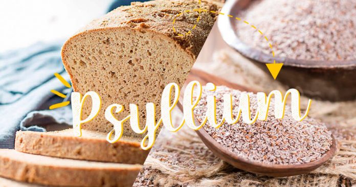 PSYLLIUM- o que é, como usar, pão feito com psyllium